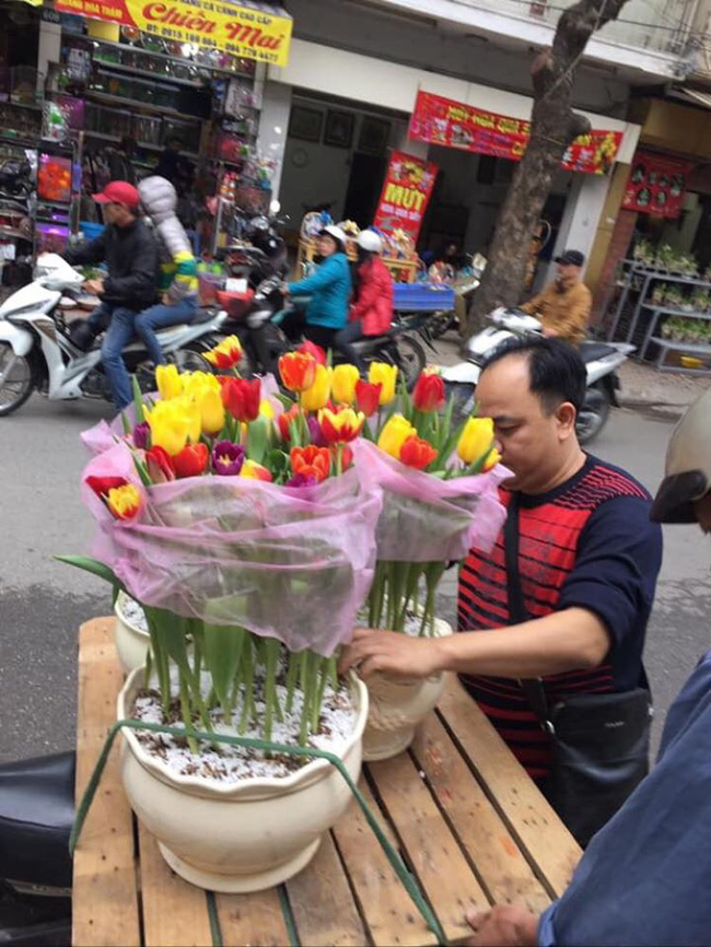 6 KHÔNG khi mua hoa Tết, bà nội trợ Việt phải chú ý để chọn được hoa vừa rẻ đẹp lại lâu tàn - Ảnh 1.