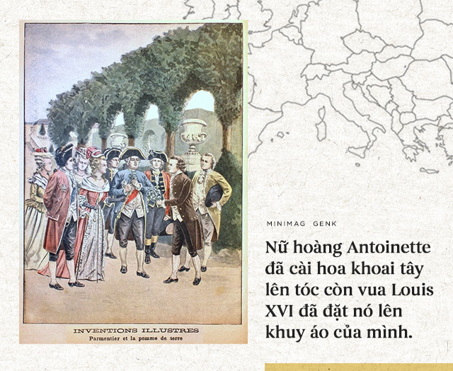 Lịch sử thú vị của khoai tây: “Quả táo quỷ” đem thịnh vượng đến cho những đế quốc - Ảnh 12.