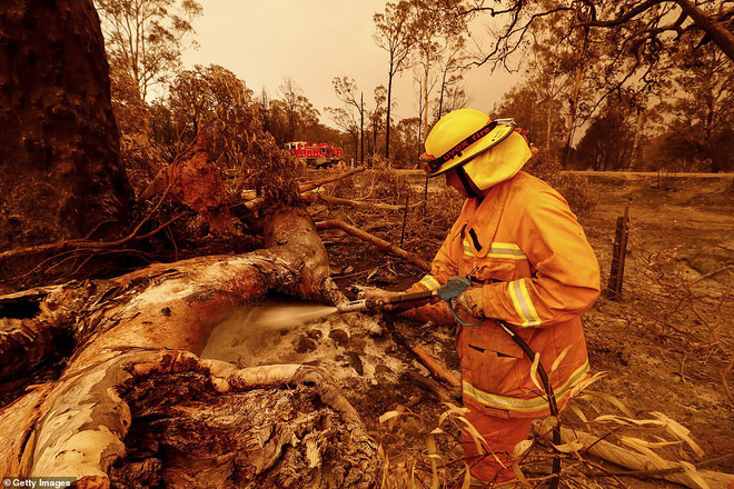 Đại thảm họa cháy rừng Úc nhìn từ không gian: Cả nước như quả cầu lửa, những mảng xanh trù phú bị thay bằng màu khói trắng tang thương - Ảnh 19.