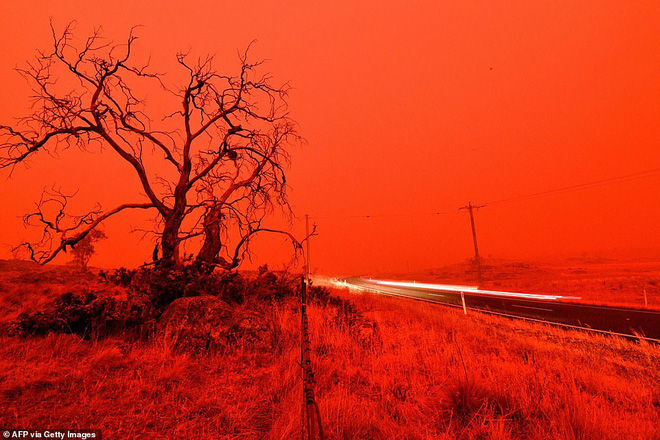 Đại thảm họa cháy rừng Úc nhìn từ không gian: Cả nước như quả cầu lửa, những mảng xanh trù phú bị thay bằng màu khói trắng tang thương - Ảnh 20.