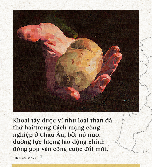 Lịch sử thú vị của khoai tây: “Quả táo quỷ” đem thịnh vượng đến cho những đế quốc - Ảnh 17.