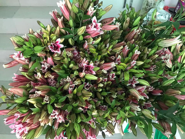 6 KHÔNG khi mua hoa Tết, bà nội trợ Việt phải chú ý để chọn được hoa vừa rẻ đẹp lại lâu tàn - Ảnh 3.