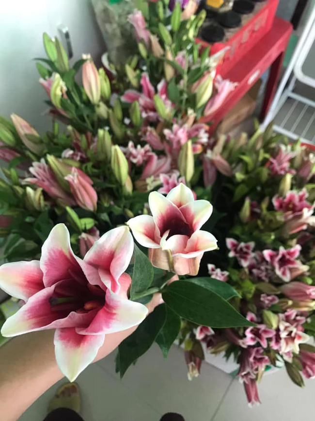 6 KHÔNG khi mua hoa Tết, bà nội trợ Việt phải chú ý để chọn được hoa vừa rẻ đẹp lại lâu tàn - Ảnh 6.