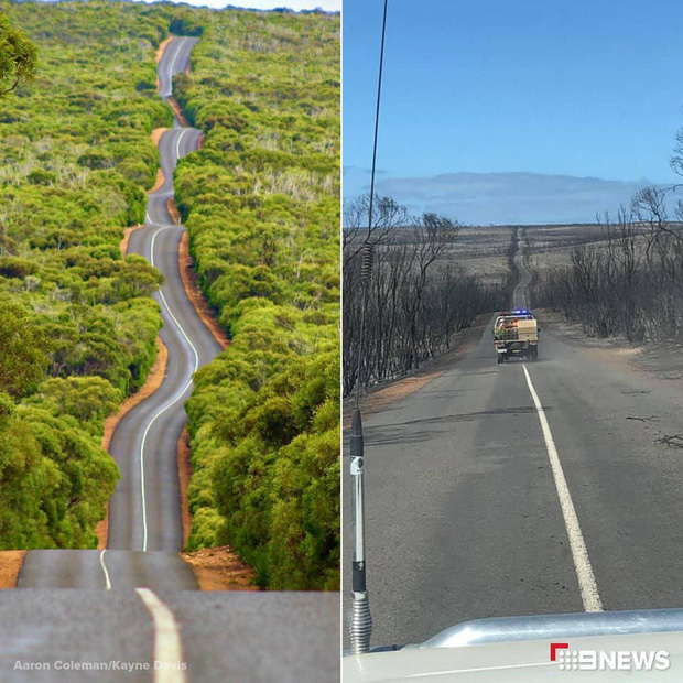 Nước Úc trước và sau thảm họa: Cánh rừng xanh mướt đầy sức sống nay chỉ còn là đống tro tàn, mái nhà của Kangaroo bị hủy hoại - Ảnh 1.