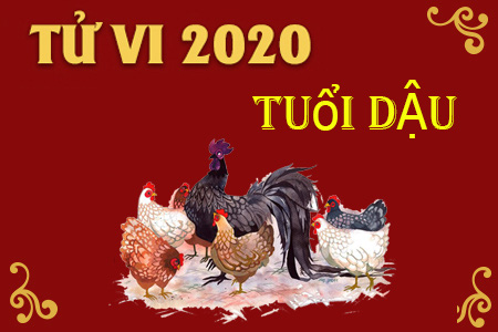 Màu sắc, hướng xuất hành may mắn mang lại tài lộc cho tuổi Dậu trong năm Canh Tý 2020 - Ảnh 3.