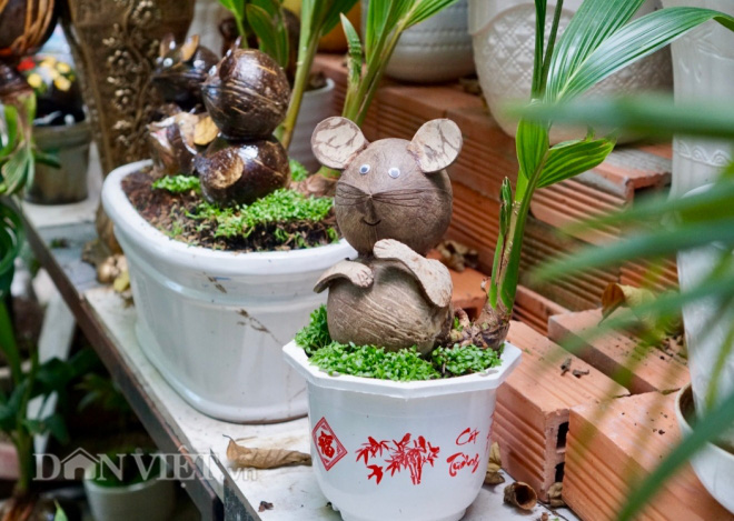 Làm dừa bonsai muôn hình vạn trạng về chuột, thu 200 triệu dịp Tết - Ảnh 4.