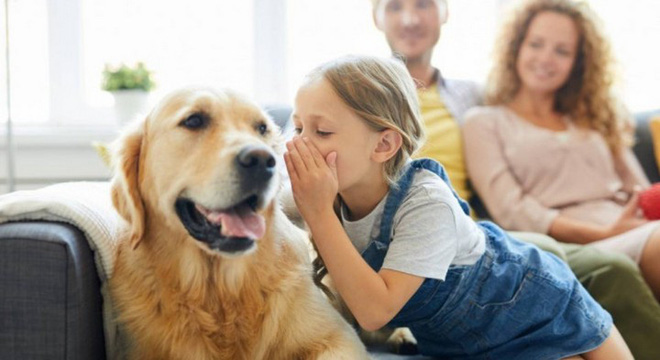 Liệu AI có thể trở thành “phiên dịch viên” và giúp con người giao tiếp được với các loài động vật? - Ảnh 1.