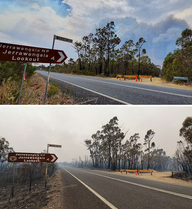 Chùm ảnh đau lòng: Nước Úc trước và sau khi ngọn lửa hung tàn quét qua - Ảnh 19.
