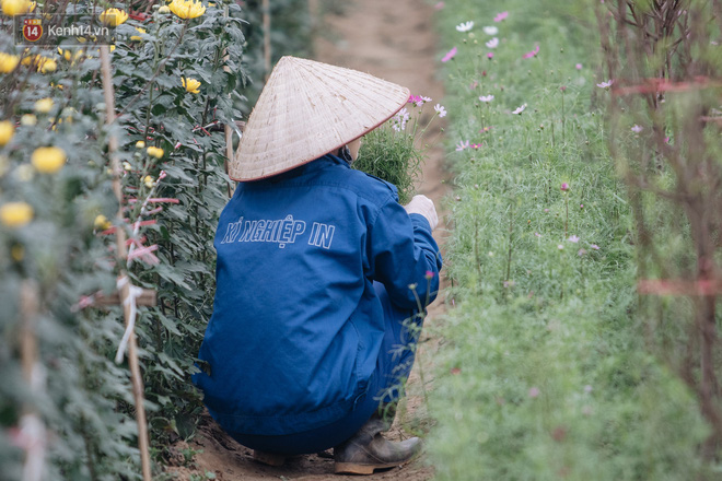 Đào Nhật Tân tấp nập xuống phố, người dân thích thú mua thưởng thức không khí Tết sớm - Ảnh 8.