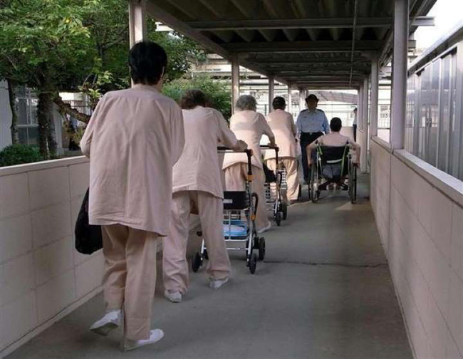 Vào tù dưỡng già: Lối thoát cực đoan của những người phụ nữ cô độc và hệ quả nghiêm trọng đè nặng lên xã hội Nhật Bản - Ảnh 8.