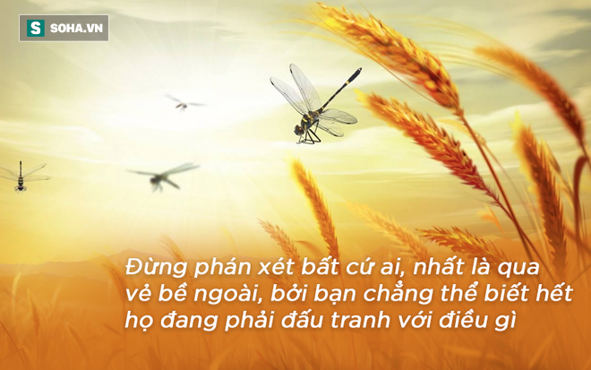 Khát khao được ngủ trong khách sạn, đến khi được ở miễn phí người đàn ông nghèo lại vội chuyển đi: Lý do thức tỉnh nhiều người - Ảnh 4.