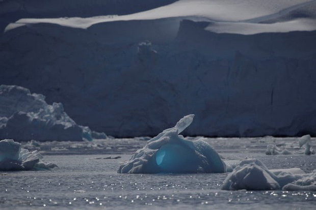 Nhiệt độ Châu Nam Cực ở mức cao kỷ lục, băng tan ở khắp nơi - Ảnh 1.