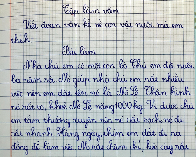 Cười lăn vì đọc bài văn mẹ mới biết con trai bày tỏ tình cảm không bao giờ tan vỡ với 1 đối tượng không ngờ - Ảnh 3.