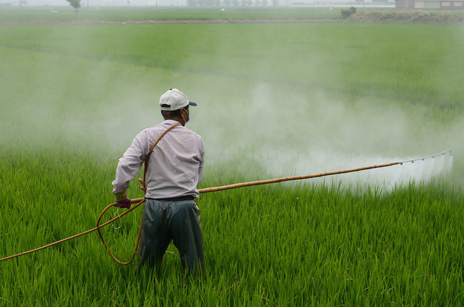 Biến đổi khí hậu đẩy loài ong vào nguy cơ tuyệt chủng, nhưng vẫn chưa quá muộn để nhân loại cứu chúng và cứu chính mình - Ảnh 3.