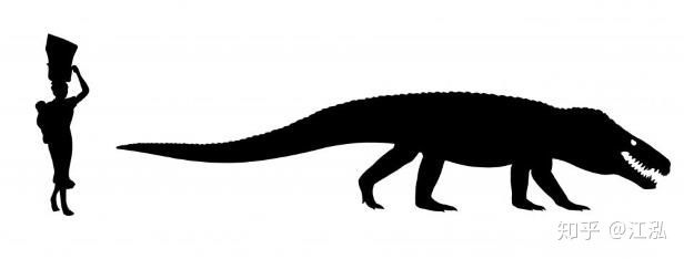 Cá sấu cổ đại: Cỗ máy hủy diệt còn đáng sợ hơn cả khủng long - Ảnh 7.