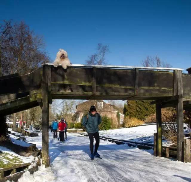 Thị trấn cổ tích Giethoorn ở Hà Lan: Hơn 7 thế kỷ không có đường bộ, đi thăm nhau không ngồi ô tô mà phải chèo thuyền - Ảnh 9.