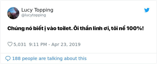 Bị cặp đôi bồ câu ăn nhờ ở đậu trong nhà tận 2 tiếng, bà chị viết được cả một chương truyện gay cấn - Ảnh 8.