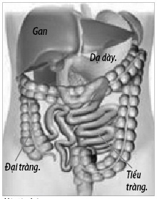 Hạt tiêu trị đau bụng do lạnh - Ảnh 1.