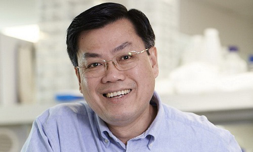 GS Nguyễn Văn Tuấn: Ba kịch bản cho dịch bệnh đang hoành hành bởi virus Corona - Ảnh 2.