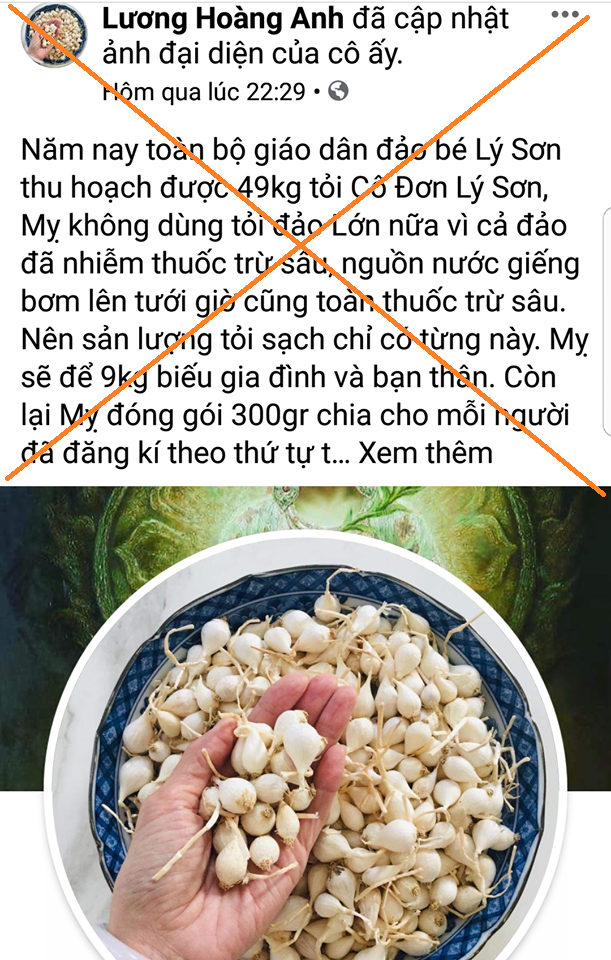 Facebook Lương Hoàng Anh bôi nhọ tỏi Lý Sơn, Quảng Ngãi đề nghị Bộ Công an vào cuộc - Ảnh 1.