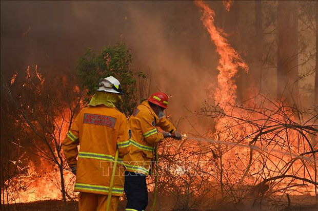 Australia cùng lúc đối mặt với cháy rừng, lũ lụt và bão - Ảnh 1.