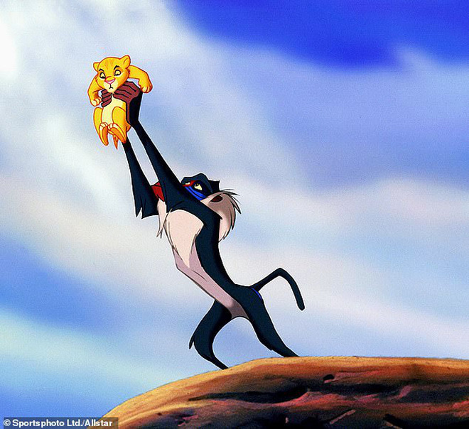 Ăn cắp sư tử con mang lên cây, khỉ đầu chó vô tình cover lại một cảnh phim huyền thoại trong Vua Sư Tử - Ảnh 8.