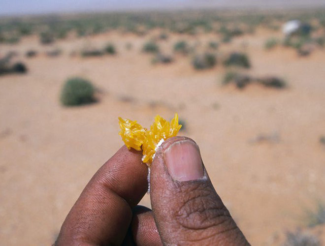 Không thể xem thường: 1/10 dân số thế giới có thể điêu đứng vì châu chấu sa mạc - Ảnh 17.