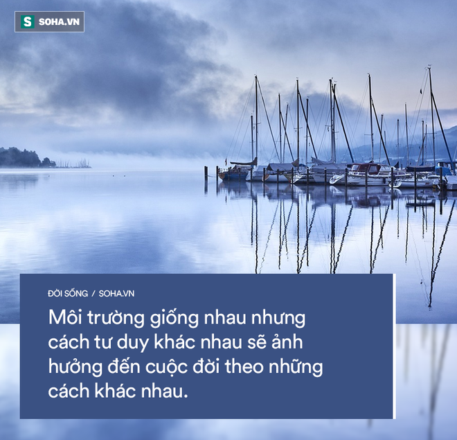 Gà có trước hay trứng có trước? và câu trả lời giúp người đàn ông trở thành ông chủ lớn - Ảnh 2.