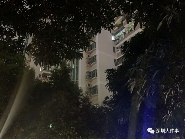 Trung Quốc: Hai đứa trẻ 9 tuổi và 5 tuổi rơi từ tầng 19 tử vong thương tâm, người lớn có mặt trong nhà nhưng không hề hay biết - Ảnh 2.