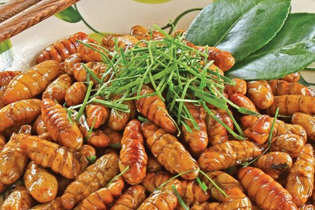 Mê mẩn một món đặc sản có nguồn gốc từ côn trùng ở Việt Nam, anh chàng nước ngoài đăng đàn hỏi tên để mua lại cho bằng được - Ảnh 3.