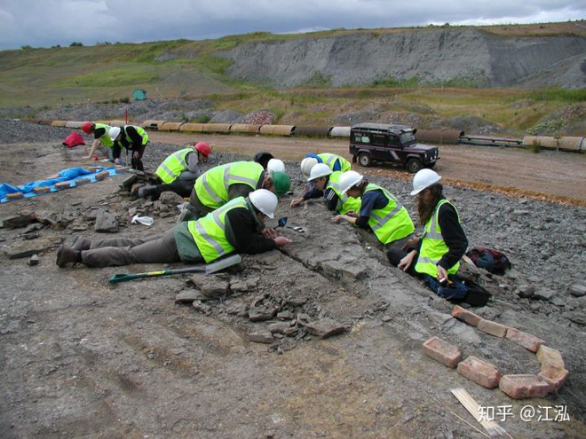 Leedsichthys: Máy hút bụi của biển cả Kỷ Jura từng bị hiểu nhầm là khủng long - Ảnh 4.