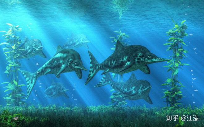 Các nhà cổ sinh vật học phát hiện ra chất béo trên cơ thể của thằn lằn cá từ 180 triệu năm trước - Ảnh 13.