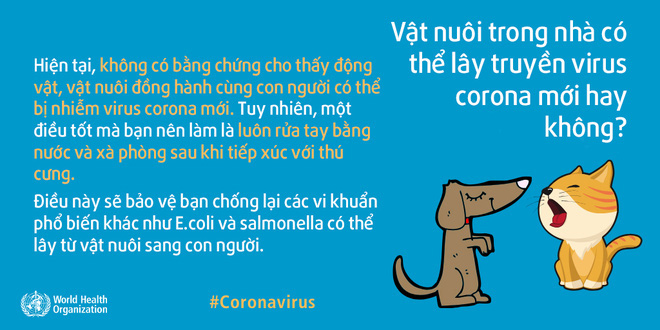 [Infographic] 13 tin đồn sai sự thật về virus corona: WHO giải thích tại sao chúng đều phản khoa học - Ảnh 6.