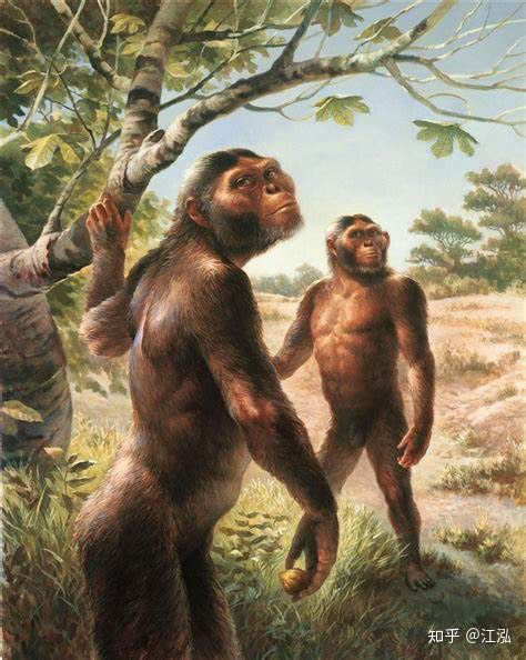 Tổ tiên của loài người đã từng gây ra sự tuyệt chủng của động vật từ 4 triệu năm về trước - Ảnh 4.