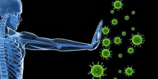Tại sao có người tiếp xúc với nguồn bệnh nhưng không nhiễm virus: Hiểu rõ cơ chế miễn dịch và tăng sức đề kháng để bảo vệ bản thân trong mùa dịch Covid-19 - Ảnh 1.