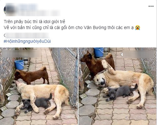 Đáng thương như boss Nguyễn Văn Dúi: Trên facebook thì là idol giới trẻ, về nhà lút cút chỉ là cái gối ôm cho Văn Bướng! - Ảnh 5.