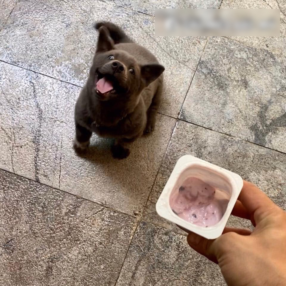 Đ&aacute;ng thương như boss Nguyễn Văn D&uacute;i: Tr&ecirc;n facebook th&igrave; l&agrave; idol giới trẻ, về nh&agrave; l&uacute;t c&uacute;t chỉ l&agrave; c&aacute;i gối &ocirc;m cho Văn Bướng! - Ảnh 8.