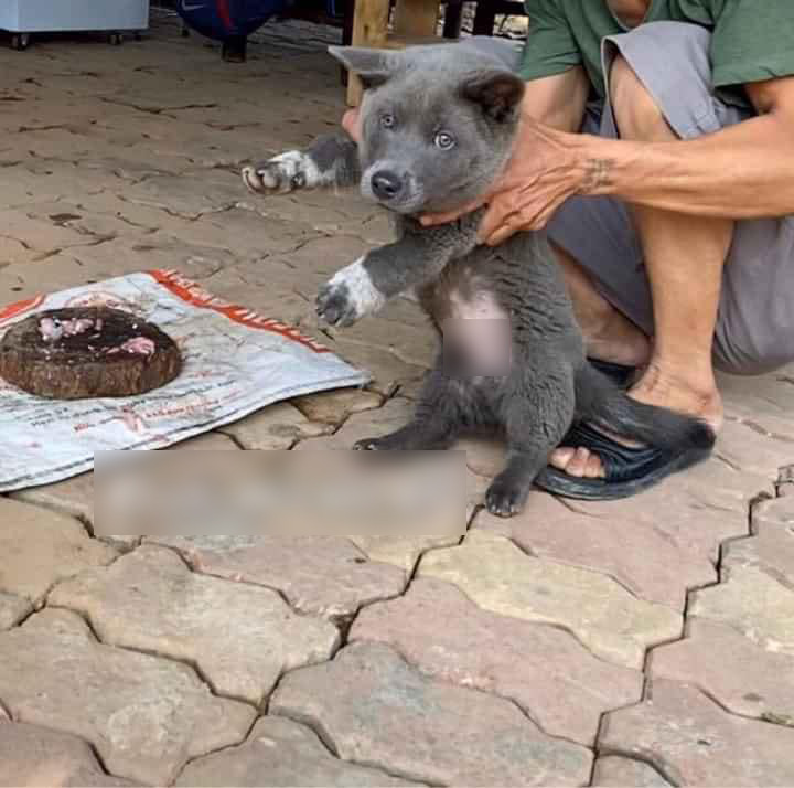 Đ&aacute;ng thương như boss Nguyễn Văn D&uacute;i: Tr&ecirc;n facebook th&igrave; l&agrave; idol giới trẻ, về nh&agrave; l&uacute;t c&uacute;t chỉ l&agrave; c&aacute;i gối &ocirc;m cho Văn Bướng! - Ảnh 10.