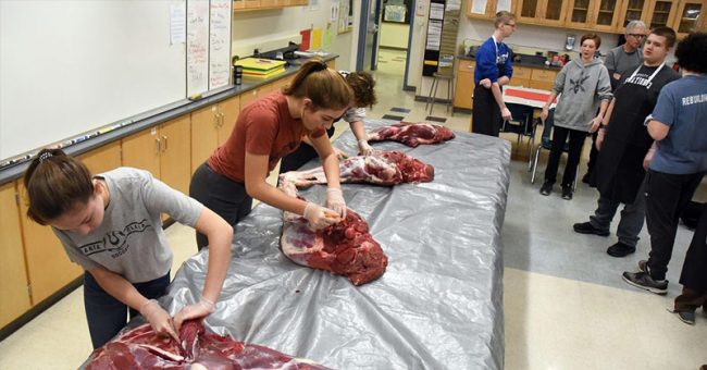 Trường học cho học sinh mổ thịt động vật để học kỹ năng sống, bất ngờ nhất là phản ứng của phụ huynh - Ảnh 2.