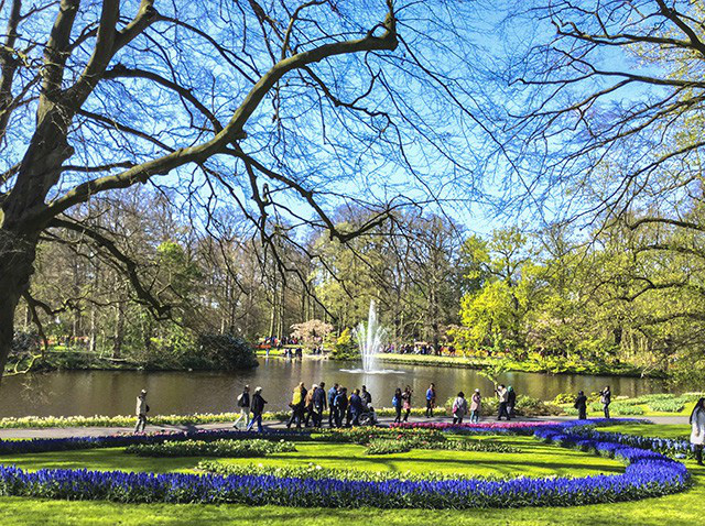 Keukenhof - Thiên đường của các loài hoa - Ảnh 1.