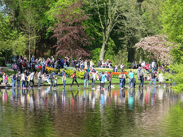 Keukenhof - Thiên đường của các loài hoa - Ảnh 4.