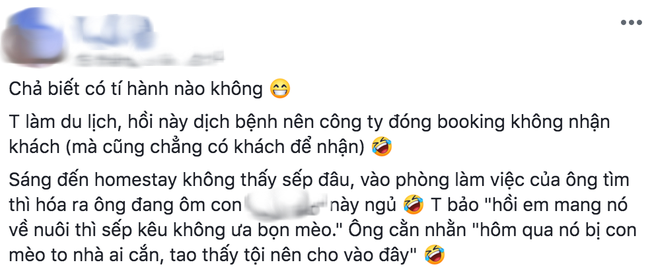 Cô nàng bàng hoàng phát hiện sếp ôm một thứ ngủ trong văn phòng nhưng lý do đằng sau khiến dân mạng ngã ngửa xúc động - Ảnh 1.