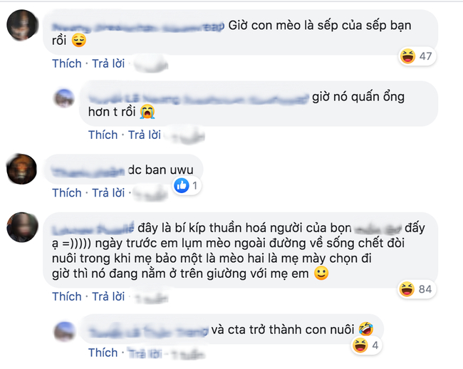 Cô nàng bàng hoàng phát hiện sếp ôm một thứ ngủ trong văn phòng nhưng lý do đằng sau khiến dân mạng ngã ngửa xúc động - Ảnh 4.