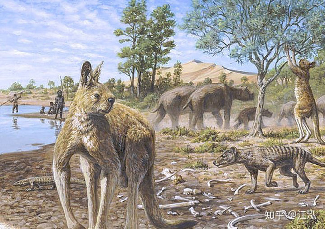 Các nhà khoa học tìm ra nguyên nhân thực sự của sự tuyệt chủng động vật khổng lồ ở Úc - Ảnh 12.
