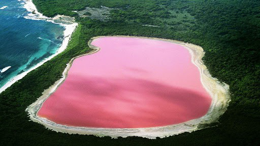 1001 thắc mắc: Hồ Hillier nằm ở đâu, vì sao nước có màu hồng ‘ma quái’? - Ảnh 6.