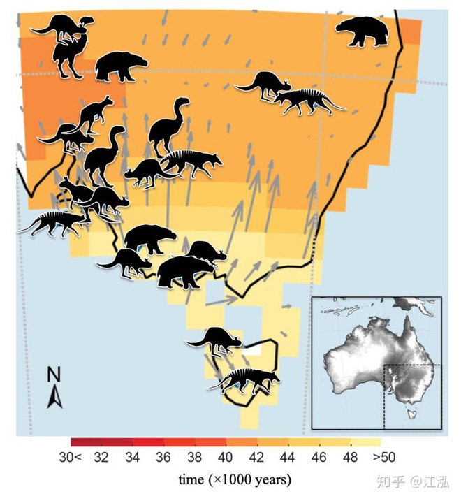 Các nhà khoa học tìm ra nguyên nhân thực sự của sự tuyệt chủng động vật khổng lồ ở Úc - Ảnh 7.