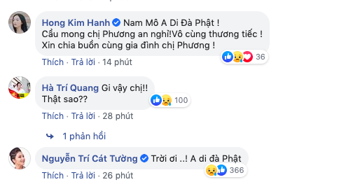 Ốc Thanh Vân sốc không thở nổi, bạn bè đau xót khi biết Mai Phương đột ngột qua đời - Ảnh 4.