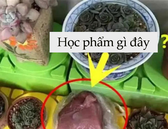 Cô giáo yêu cầu một đằng, bé trai 5 tuổi làm một nẻo khiến hiệu trưởng cũng phải phì cười - Ảnh 2.