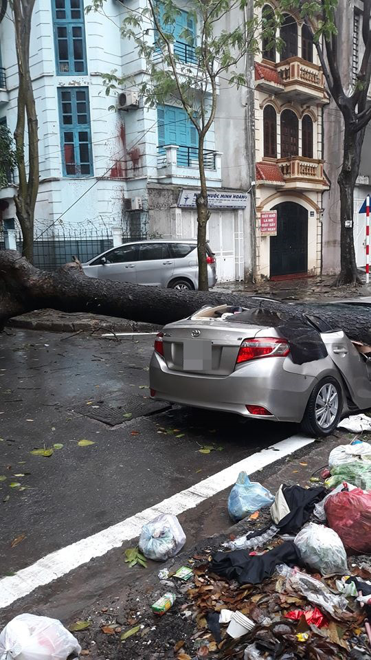Chiếc xe ô tô bị cây đổ đè bẹp, biến dạng trong cơn mưa lớn ở Hà Nội  - Ảnh 4.