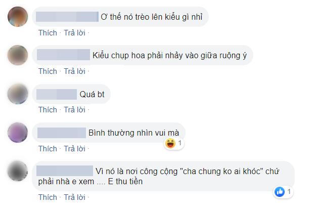 Cô gái trẻ trèo lên cửa sổ nhà cổ Hà Nội để sống ảo, dân tình người bênh kẻ chê nhưng nhận gạch nhiều nhất lại là chủ nhân bức ảnh chụp trộm - Ảnh 5. Cô gái trẻ trèo lên cửa sổ nhà cổ Hà Nội để sống ảo, dân tình người bênh kẻ chê nhưng nhận gạch nhiều nhất lại là chủ nhân bức ảnh chụp trộm - Ảnh 5.